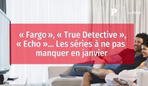 « Fargo », « True Detective », « Echo »… Les séries à ne pas manquer en janvier