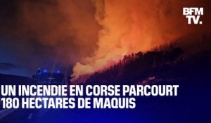 Un incendie en Corse parcourt 180 hectares de maquis