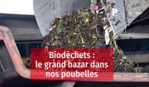 Biodéchets : le grand bazar dans nos poubelles