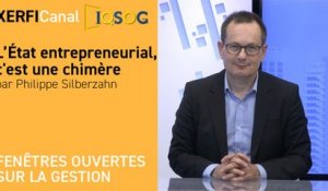 L’État entrepreneurial, c'est une chimère [Philippe Silberzahn]