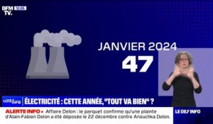 Pic de consommation d'électricité: pourquoi le risque de coupure semble écarté