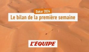 Cyril Despres : « Loeb a bien su interpréter le réglement » - Dakar - analyse