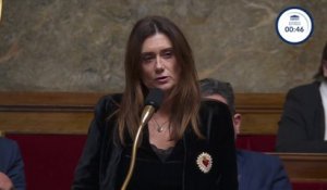 "La soumission chimique est un fléau": Sandrine Josso, de retour à l'Assemblée nationale deux mois après sa plainte contre un Joël Guerriau qu'elle accuse de l'avoir droguée