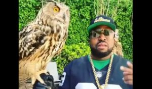 Big Boi Plays With His Owls