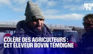 "On est prêts à monter à Paris et paralyser la capitale": Jérôme Bayle, figure de la contestation des agriculteurs, témoigne