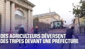 Des agriculteurs en colère déversent des tripes et du lisier devant la préfecture d'Agen