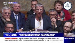 "Nos agriculteurs se sentent abandonnés, stigmatisés, caricaturés, mal-aimés" affirme Martine Froger, députée Liot de l'Ariège