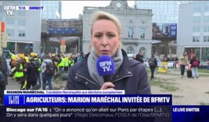 "C'est aussi la faute de l'Europe": Marion Maréchal s'exprime depuis Bruxelles sur la colère des agriculteurs