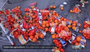 Colère des agriculteurs - Regardez les images des supermarchés et des bâtiments publics attaqués depuis plusieurs heures par des manifestants à travers la France