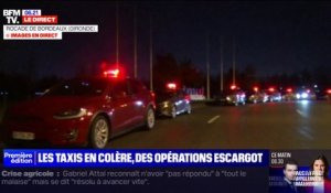 Des taxis en colère mènent à leur tour une opération escargot sur la rocade de Bordeaux