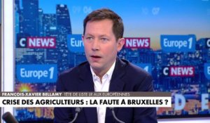 François-Xavier Bellamy : «Le sort du monde agricole concerne l'ensemble des Français»