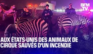 États-Unis: la police sauve des animaux de cirque d’un incendie dans l'Indiana