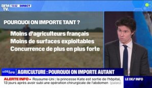 Jusqu'à 20% de son alimentation: pourquoi la France importe autant de produits agricoles