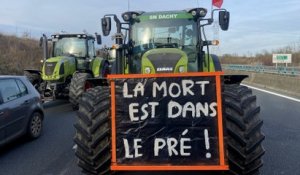 « On veut vivre dignement de notre métier » : avec les agriculteurs qui bloquent l’A1