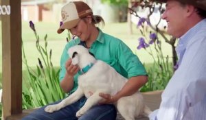 Muster Dogs Saison 1 - Muster Dogs Season 2 Official Trailer | ABC Australia (EN)