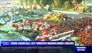Colère des agricoles: les tomates marocaines ciblées et accusées de concurrence déloyale