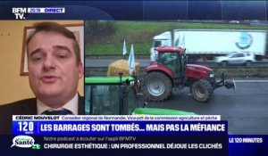 Normes agricoles: "Il ne peut pas y avoir deux poids deux mesures en fonction du pays dans lequel on se trouve au sein de l'Union européenne", affirme Cédric Nouvelot