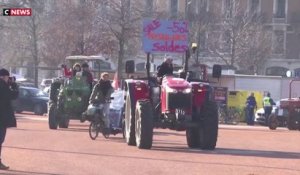 Colère des agriculteurs : La mobilisation continue en Europe