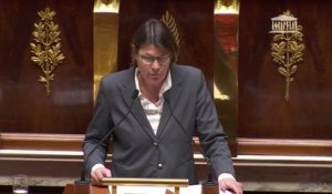 Aude Luquet (MoDem), aux députés Nupes: "Je m'interroge encore sur les raisons de cette motion de censure"