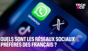 Voici les réseaux sociaux préférés des Français en 2023