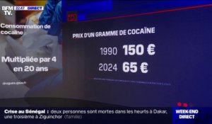 À L'ÉPREUVE DES FAITS - Consommation de cocaïne: hausse de la demande et baisse des prix