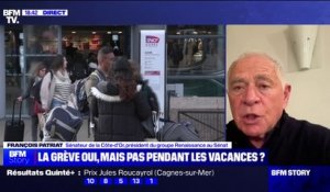 Droit de grève dans les entreprises publiques: pour le président du groupe Renaissance au Sénat, "il faut que le débat [de l'interdiction des grèves pendant les vacances] ait lieu"