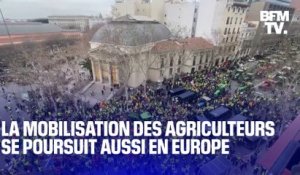 Espagne, Italie, Grèce, Pologne: la mobilisation des agriculteurs se poursuit en Europe