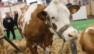 EN DIRECT - L'ouverture sous tension du Salon de l'agriculture