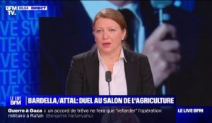 Salon de l'agriculture: l'eurodéputée Ilana Cicurel (Renaissance) dénonce "une stratégie du mensonge permanent" de la part du RN