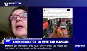Chien sans muselière dans le TGV: "Je ne dénonçais pas, je montrais une situation qui est banale", affirme Anne-Yvonne Le Dain