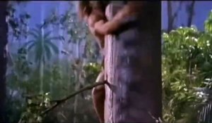 George de la jungle (1997) - Bande annonce