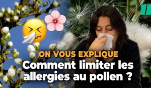 Les bons gestes à adopter contre les allergies au pollen