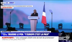 "Depuis qu'il est au pouvoir, Emmanuel Macron n'a eu de cesse de déconstruire la France" affirme Marine Le Pen