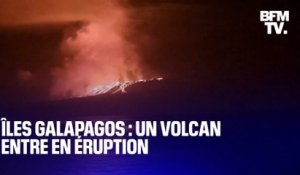 Îles Galapagos: le volcan La Cumbre est entré en éruption