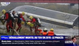 "On attend de ce procès que des décisions soient prises pour que plus jamais ça recommence": le procès du déraillement mortel d'un TGV en Alsace s'ouvre ce lundi