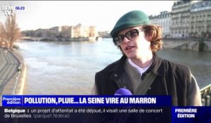 Paris: quand la Seine vire au marron