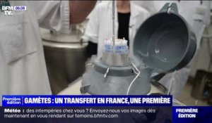 Une "opération de solidarité" entre Lille et Rennes pour "optimiser" les dons de sperme