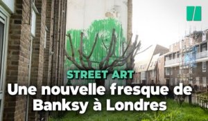 Avec sa nouvelle œuvre, Banksy rend son feuillage à cet arbre