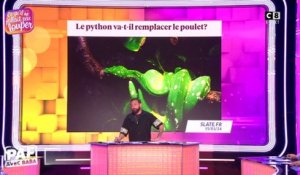 Le poulet bientôt remplacé par le python ?