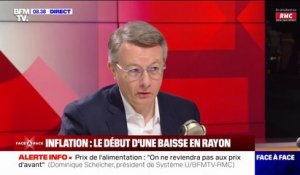 "On est en déconsommation en France aujourd'hui" affirme Dominique Schelcher, PDG de Système U