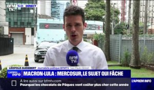 Mercosur, guerre en Ukraine: les sujets de discorde entre Emmanuel Macron et Lula qui pourraient être abordés durant leurs échanges