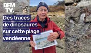 Cette plage de Vendée abrite des traces de dinosaures vieilles de 200 millions d'années