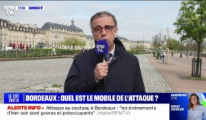 Attaque au couteau: une police municipale avec des armes létales "n'aurait pas évité le drame", estime Pierre Hurmic, le maire de Bordeaux