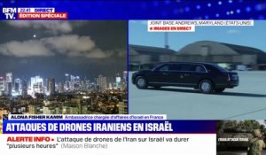 Attaque de drones iraniens en Israël: "Les États-Unis sont notre meilleur allié", affirme l'ambassadrice Alona Fisher Kamm