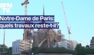 Notre-Dame de Paris: quels travaux restent-ils, cinq ans après son incendie?