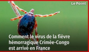 Comment le virus de la fièvre hémorragique Crimée-Congo est arrivé en France