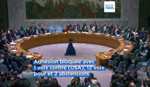 Pas de reconnaissance de la Palestine à l'ONU après le veto de Washington