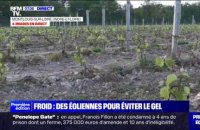Indre-et-Loire: des éoliennes brassent l'air pour éviter le gel dans les vignes