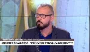 Joseph Macé-Scaron : «En France, aujourd'hui, tout parent a peur»