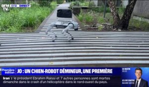 "Il peut même donner la patte": ce chien-robot démineur assistera les épiques de déminage pour les JO de Paris
